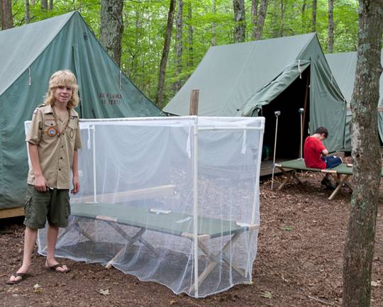 Mosquito Bites Increased In The USA – How to Prevent Them - nth Word