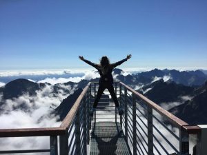 cultivate happiness and success