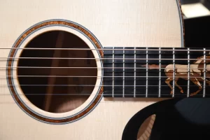 Taylor Guitars