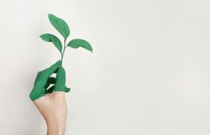 achieving balance and peace